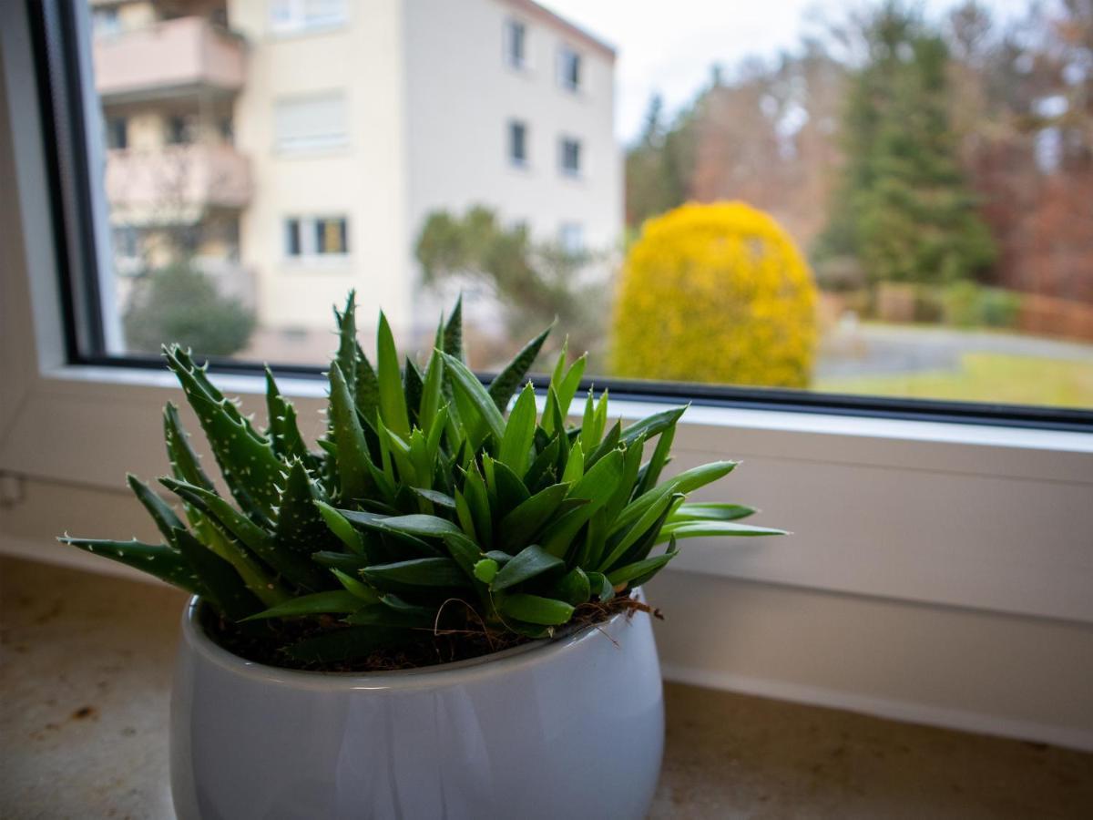 Seewaldblick - Ferienwohnung Am Bodensee Фридрихсхафен Экстерьер фото